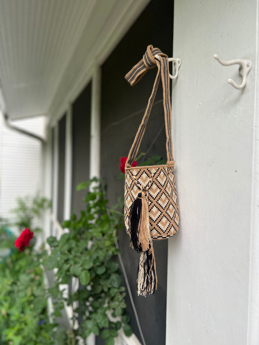 Mini Brown and Black Tote